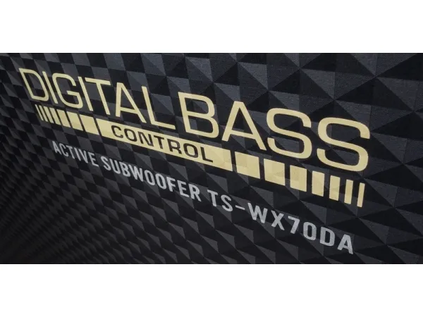 Pioneer TS-WX70DA - Subwoofer - til bil - 100 Watt - 6,25