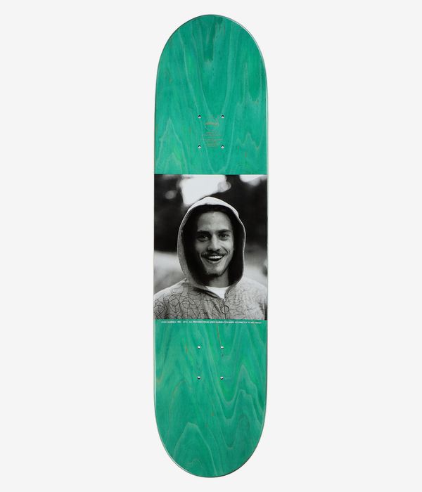Almost Marnell Rasta Lion 8