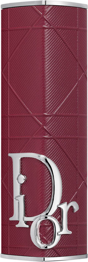 DIOR Dior Addict Case - Limited Edition 1