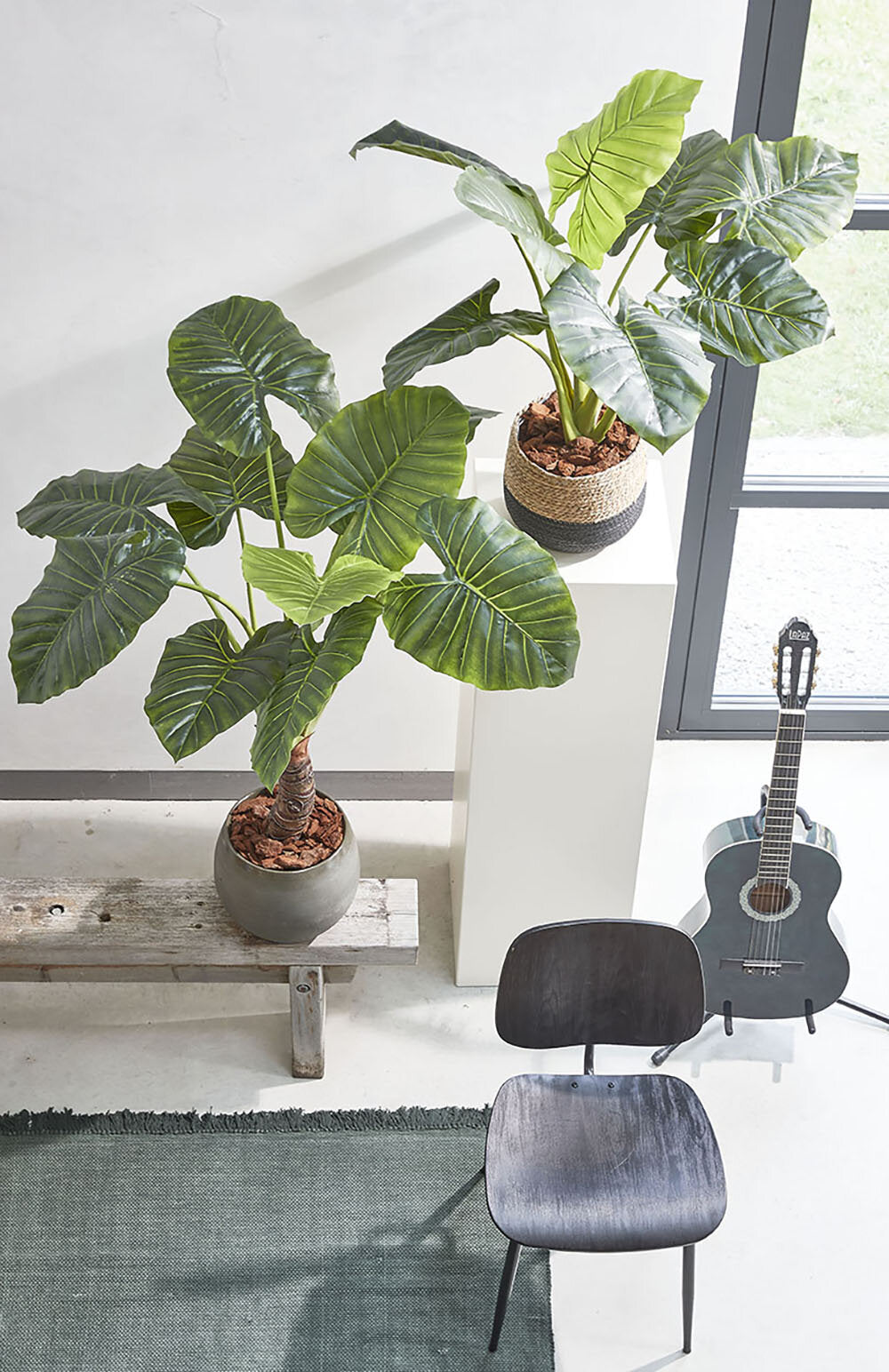 Mica Decorations Taro in pot groen - h100xd70cm