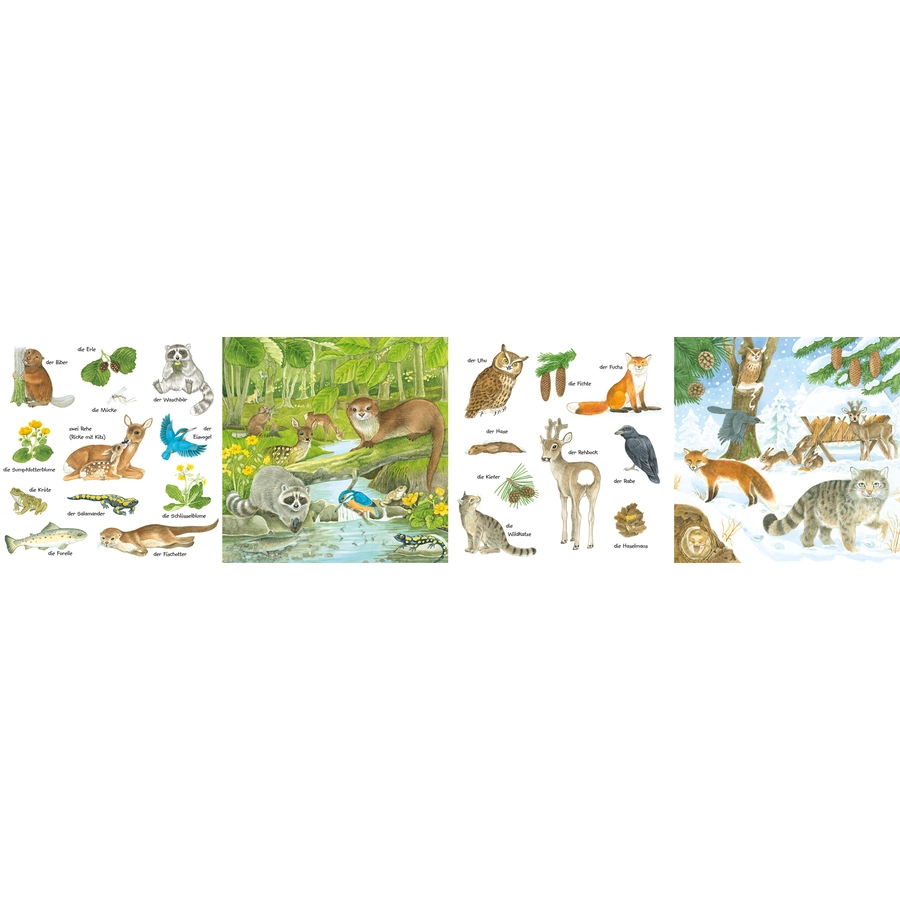 Carlsen Mein kleines buntes Bildwörterbuch: Im Wald
