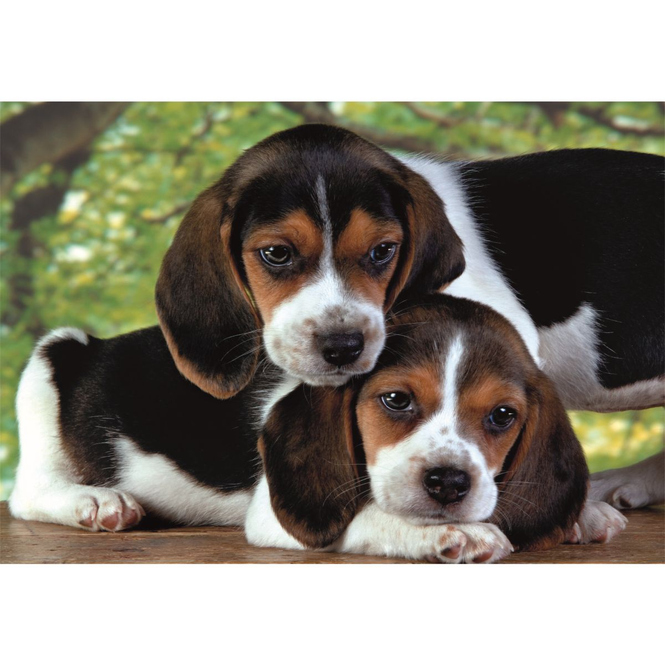Puzzle - Close together - 500 Teile