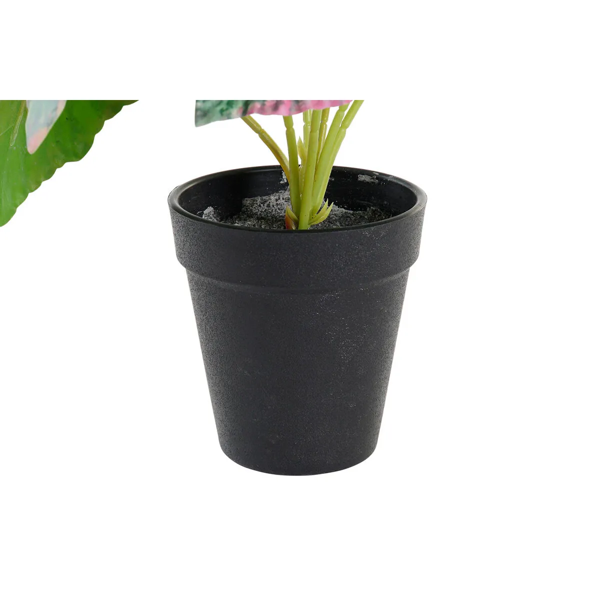 DKD Home Decor Plante Rose Vert