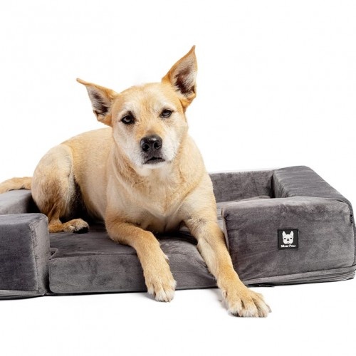 Cama ortopédica viscoelástica Patasbox Milo cinza para cães