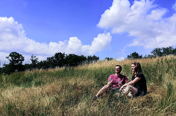 Picknick im Weingarten Hohenruppersdorf für 2