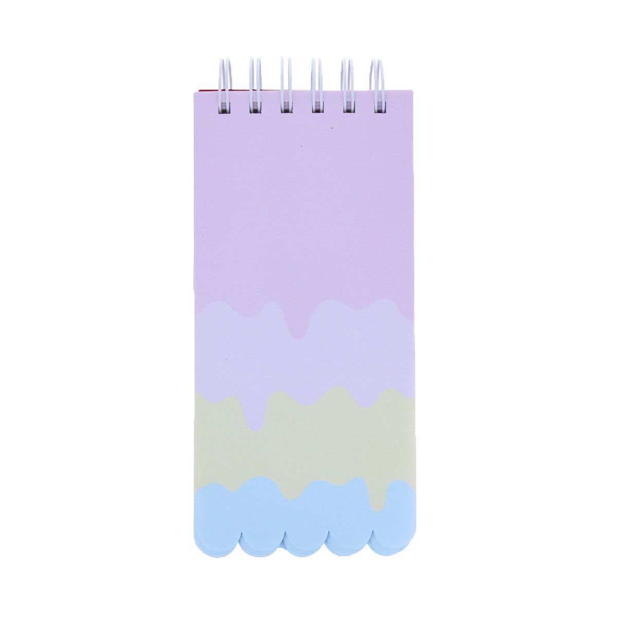 Carnet glace et paillettes Roodoudou