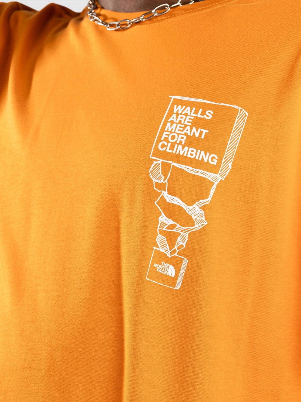THE NORTH FACE Outdoor T-Shirt desert rust