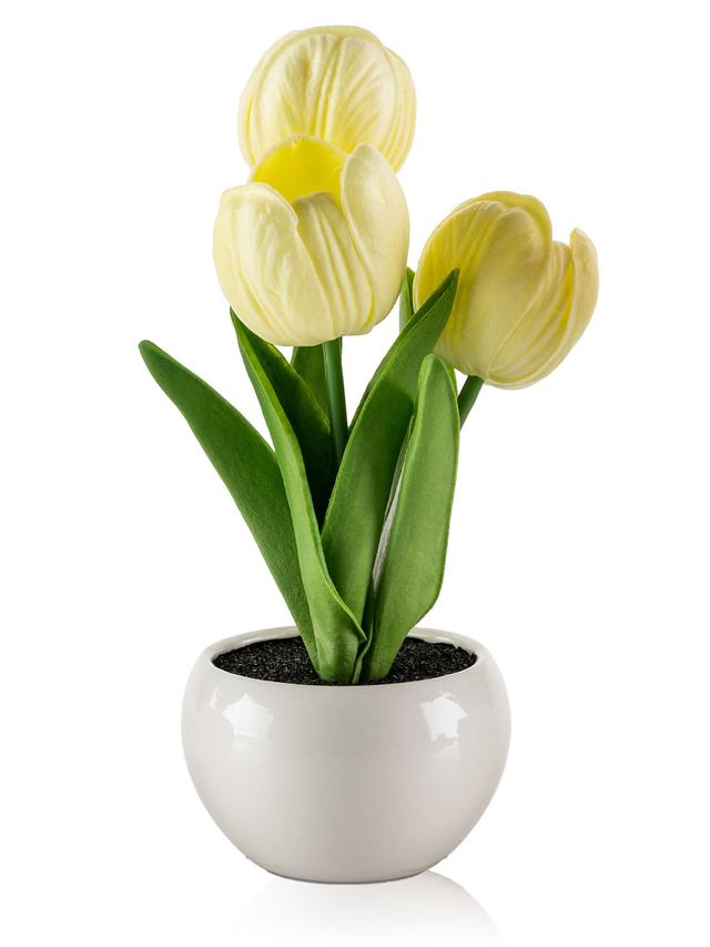 LED Tulpen 3er-Set – Dekolicht in Pink, Orange & Gelb