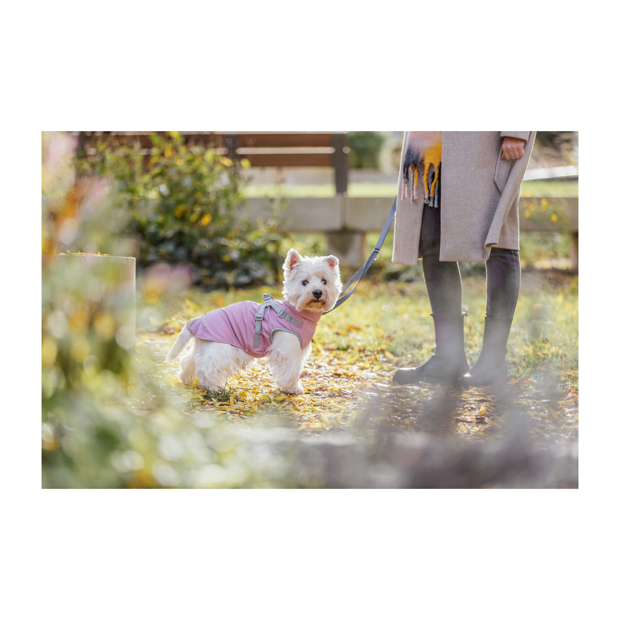 Trixie Jas met Tuig Pontis Rain