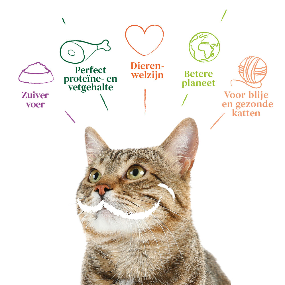 Yarrah Bio Kattenvoer Chunks Kip405 gr