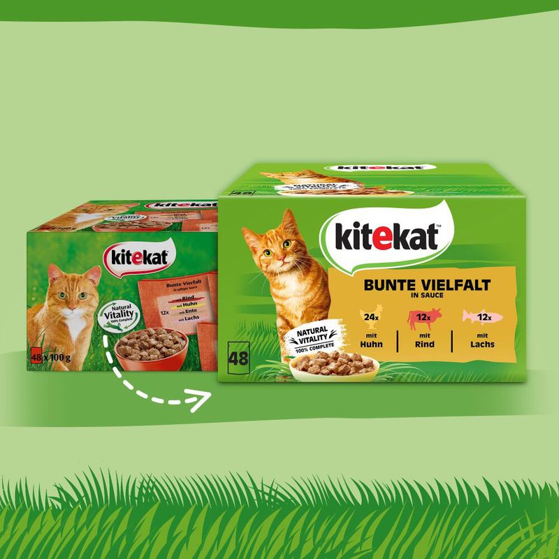 Kitekat 48 x 85 g à prix discount sur bitiba.fr