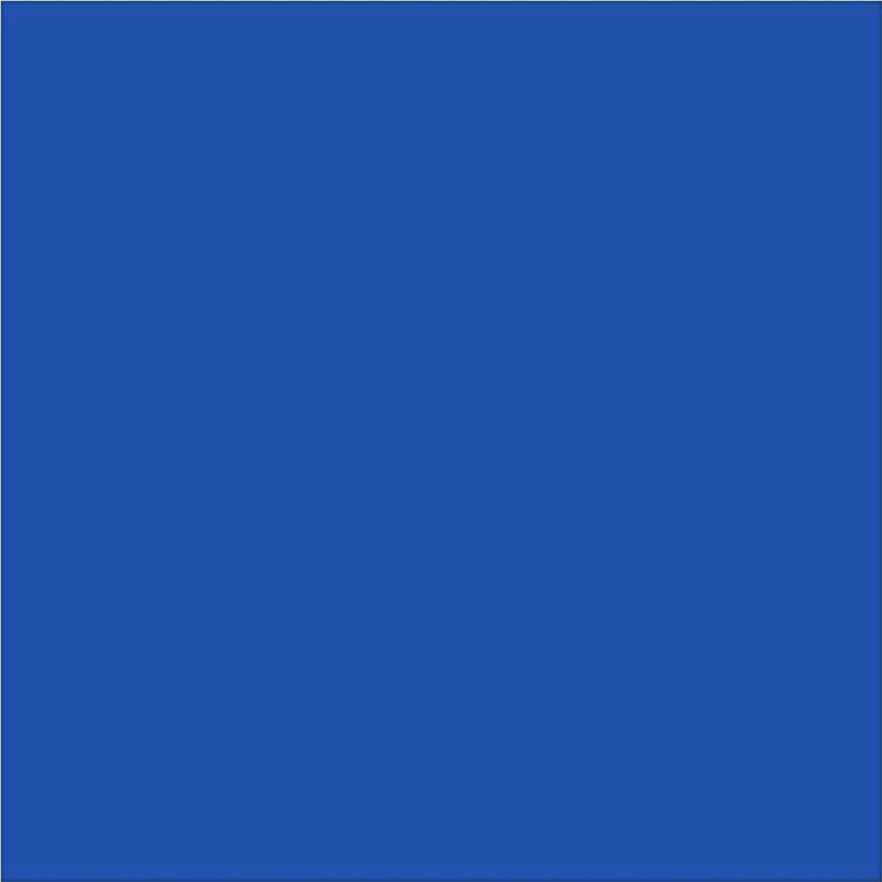 BiC - Visacolor XL - Viltstift - Blauw - Pak 12 Stuks