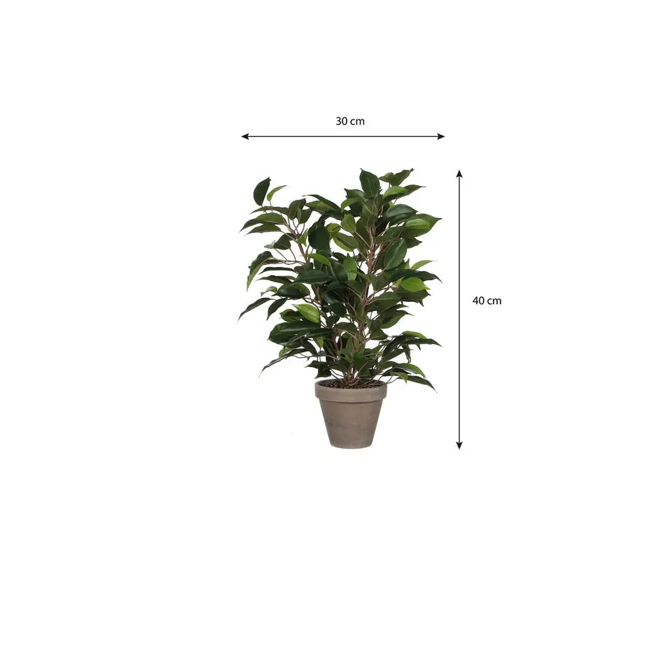 Mica Decorations Kunstplant Ficus - groen - 40 cm - voor binnen