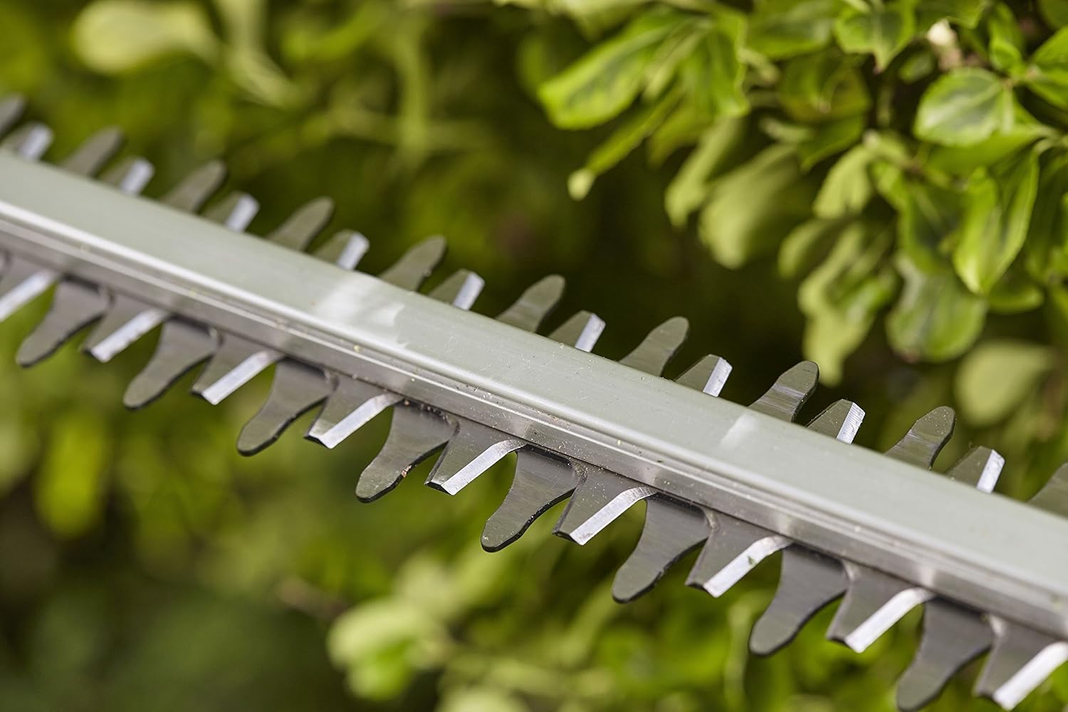 Gardena Set Akku-Heckenschere PowerCut Li-40/60: Akku-Heckenschneider mit 60 cm Messerlänge, ergonomischer Griff, Anschlagschutz, intuitives Tastenfeld, inkl. Li-Ion Akku und Ladegerät (9860-20)