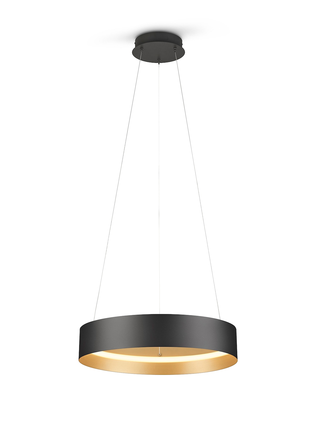 Musterring LED Pendelleuchte 50 cm MR LOOP schwarz-goldfarbig