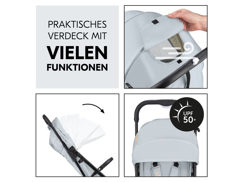 Hauck Buggy Travel N Care Simba Kompakter, leichter Reisebuggy im Simba Design