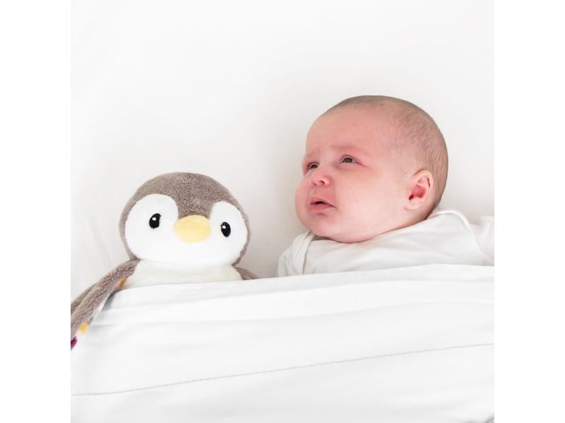 ZaZu Einschlafhilfe Phoebe Pinguin Babyschlafhilfe mit Sprachaufnahme und Nachtlicht