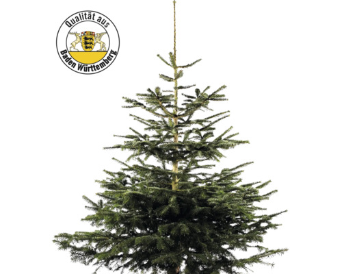 Nordmannspar, Baden-Württemberg, 150-200 cm hoog, gekapte kerstboom uit duurzame en regionale teelt