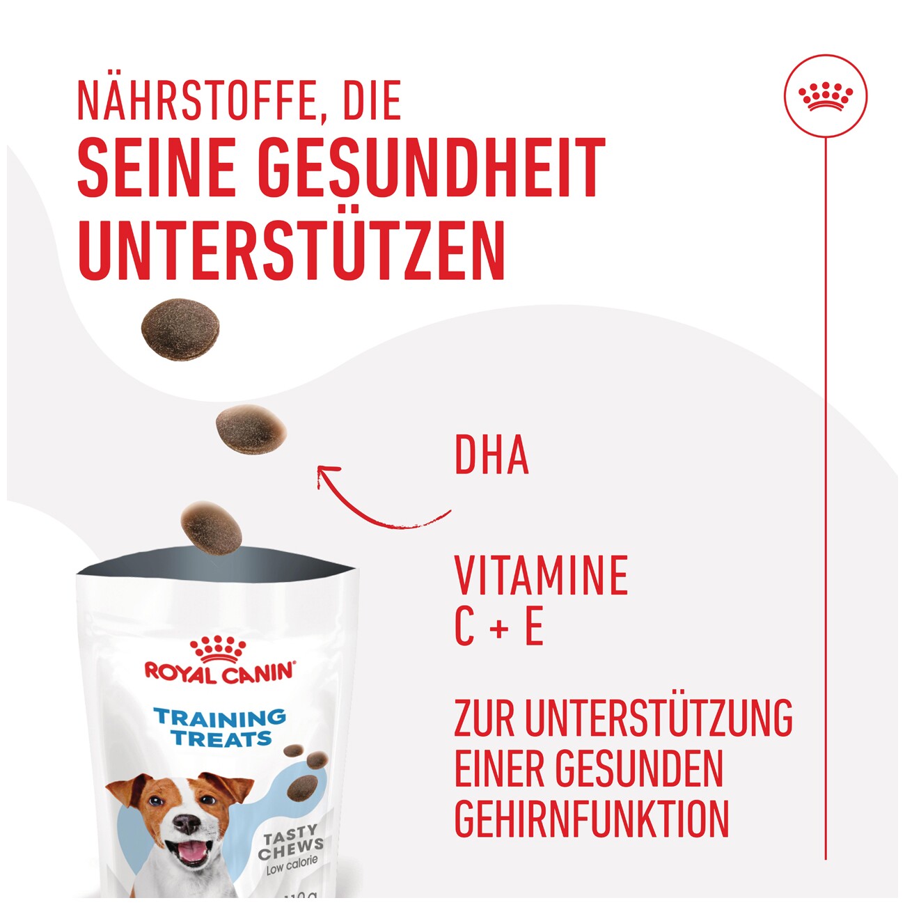 ROYAL CANIN Training Snacks