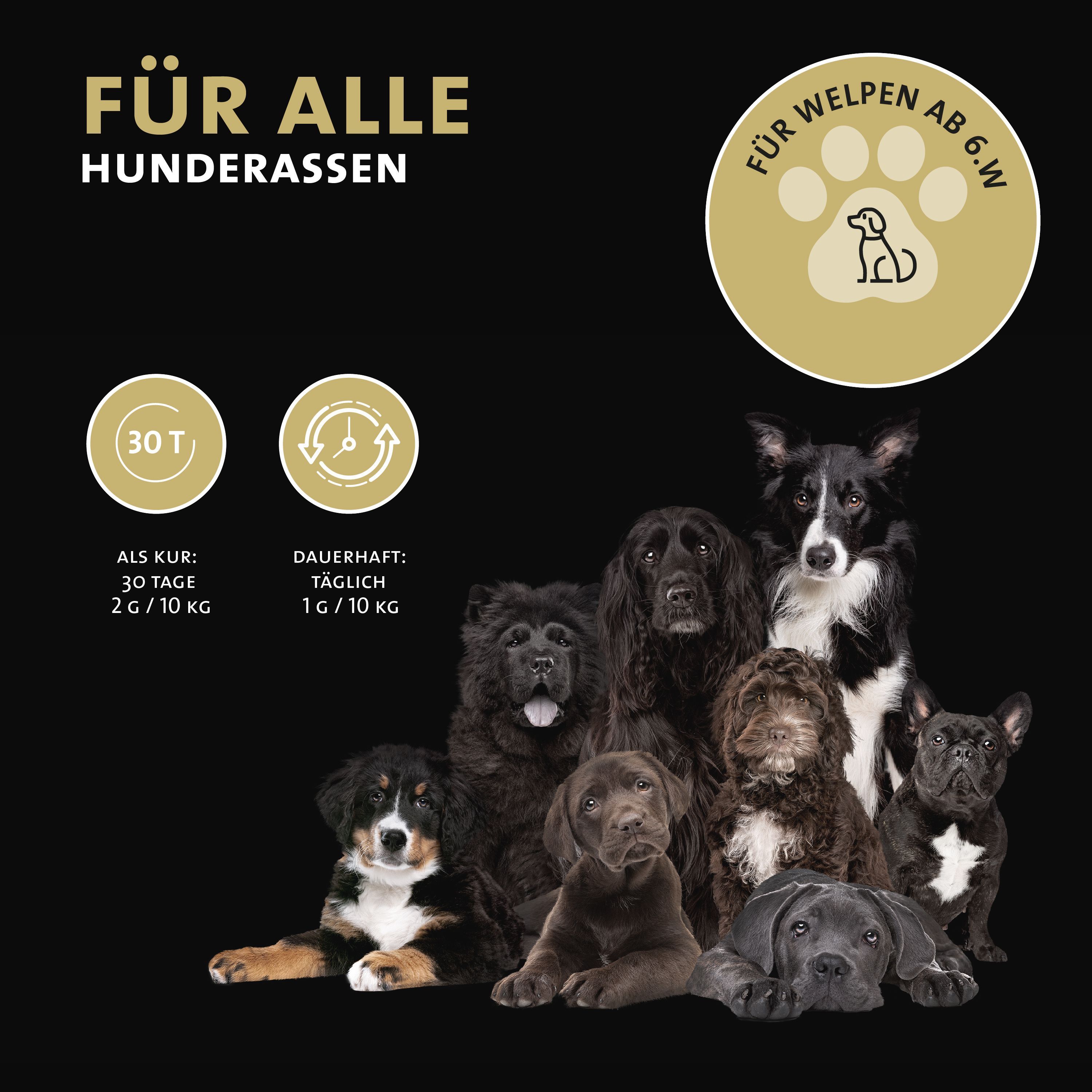 Peticare Diät Schlank Vital Pulver für Hunde, unterstützt Abnehmen-Prozess