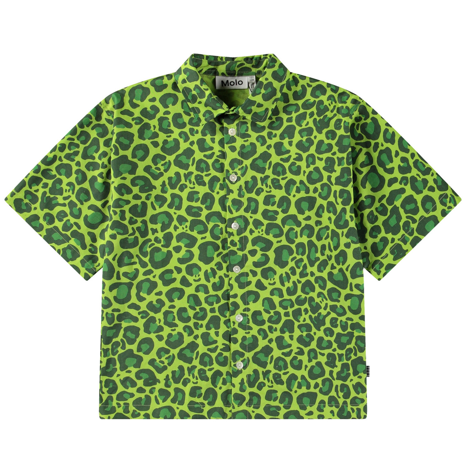 Richie - Jaguar_Green