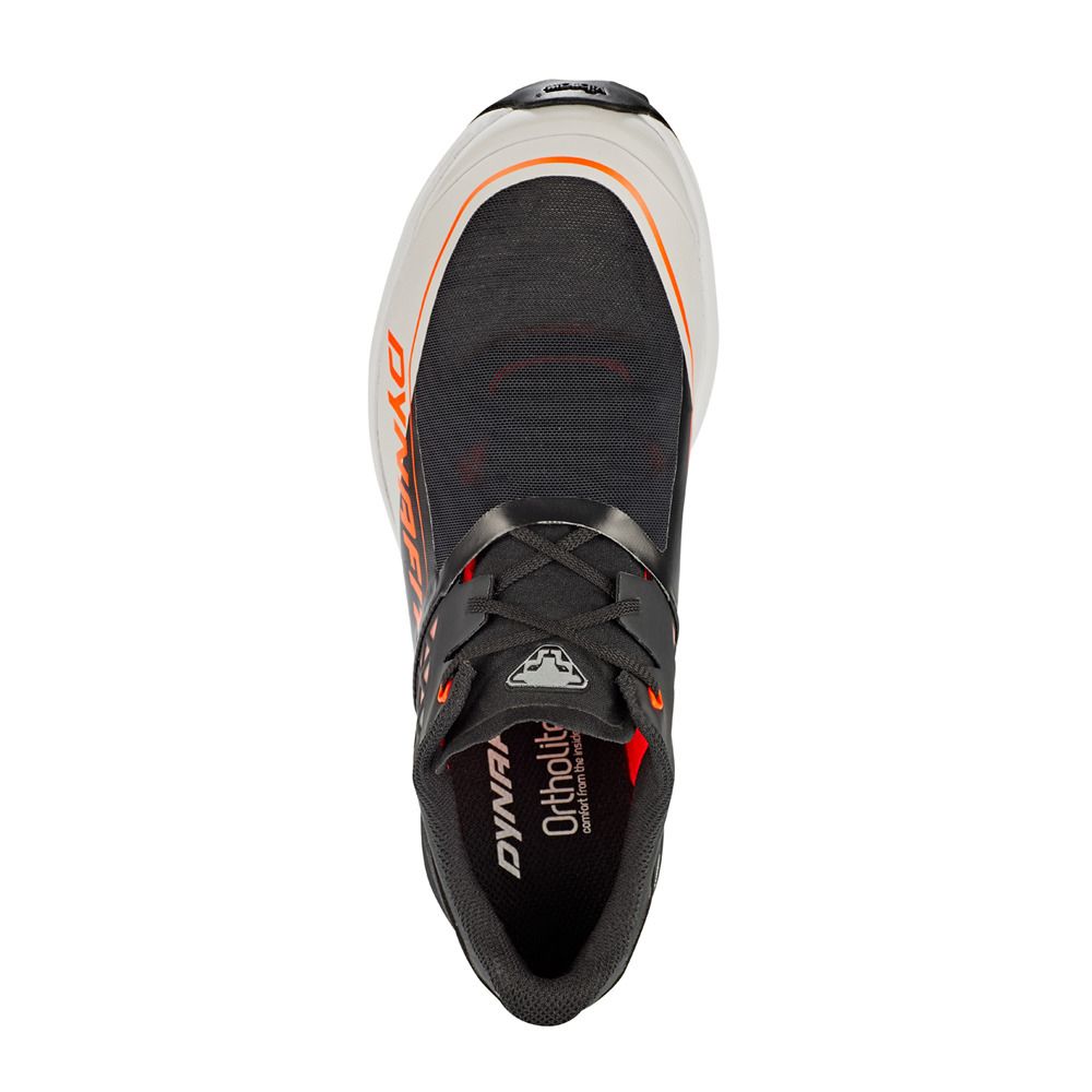 Dynafit ALPINE DNA - Chaussures trail Homme black out/orange