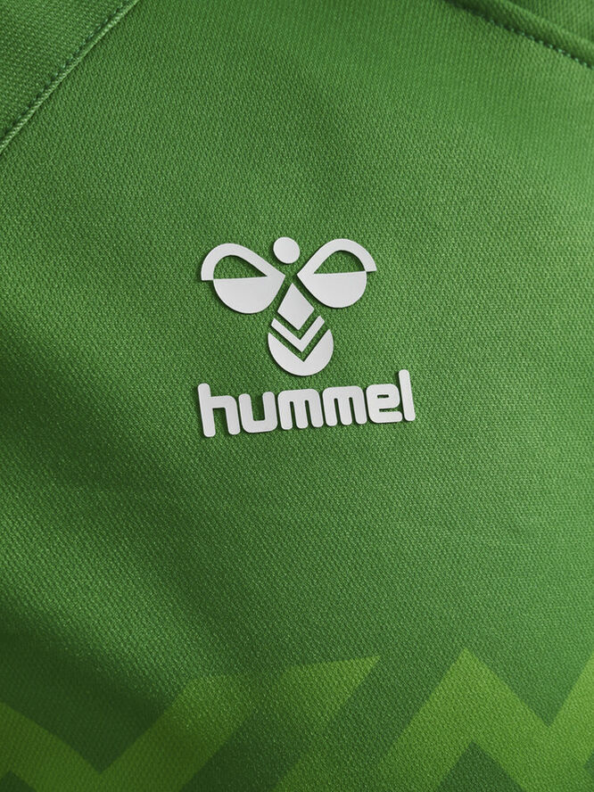 Hummel DBU Danmark målmandstrøje 23 Voksen Grøn
