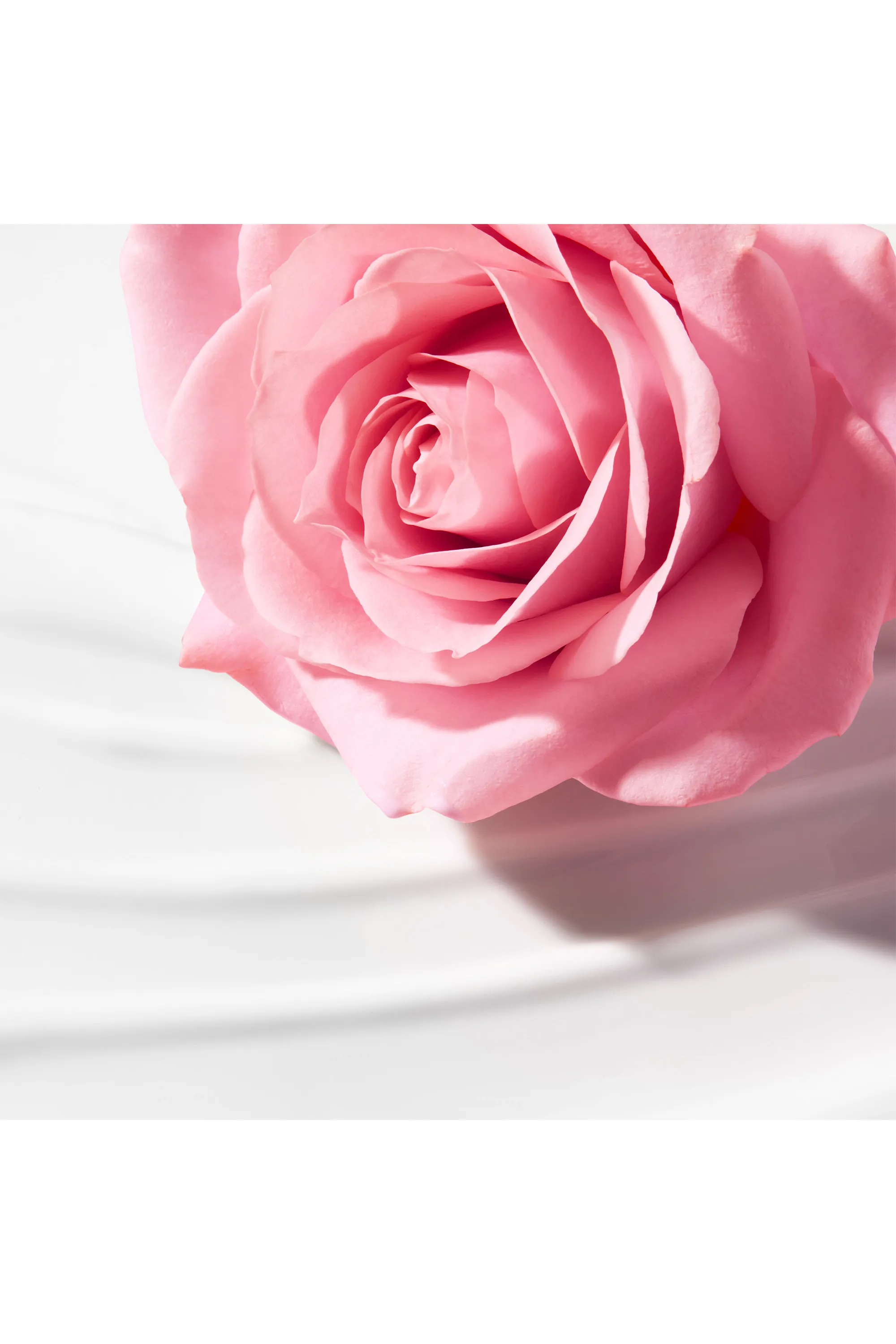 Nuxe Lait démaquillant onctueux Very Rose-200 ml