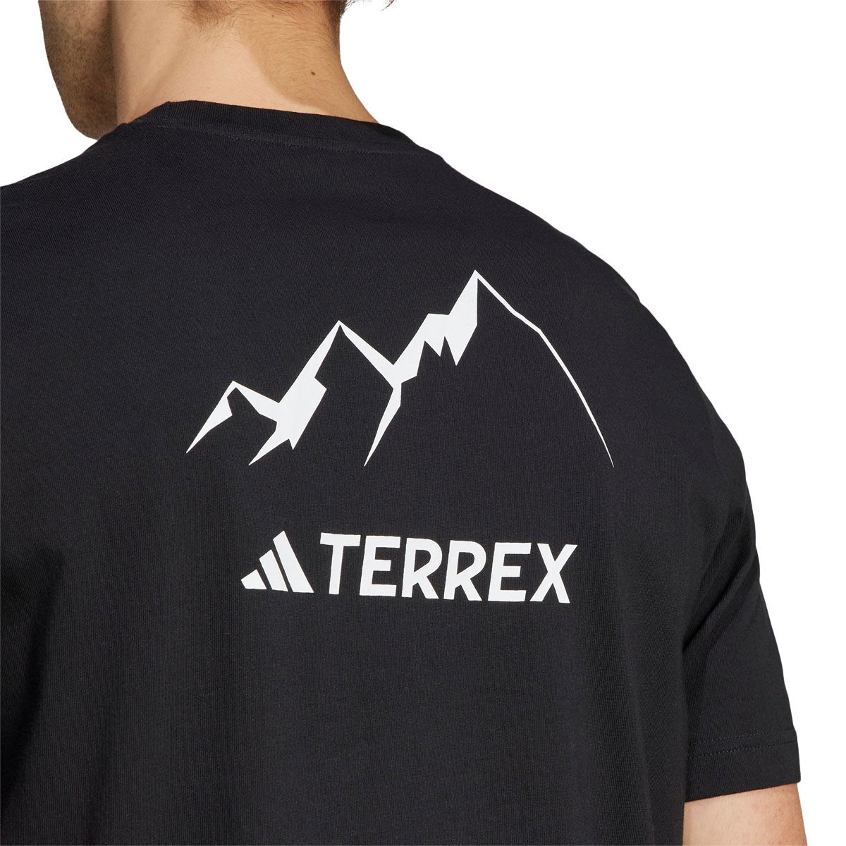 adidas Terrex Graphic Mountain 2.0 T-shirt Herre