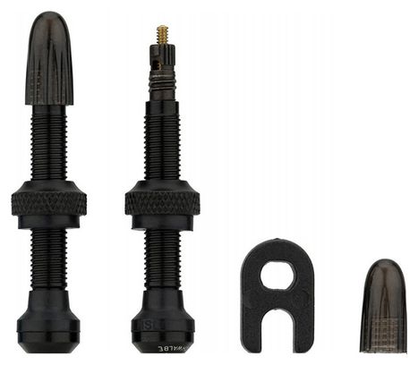 Paire de Valves Schwalbe Tubeless Noir
