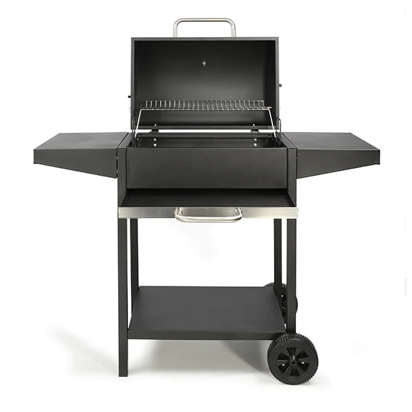 Barbecue à charbon rectangle DOC250 Livoo