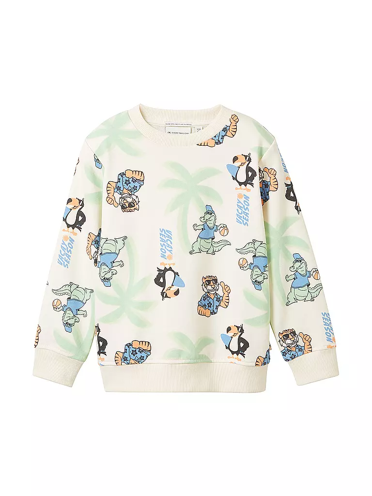 TOM TAILOR Jungen Sweater weiss