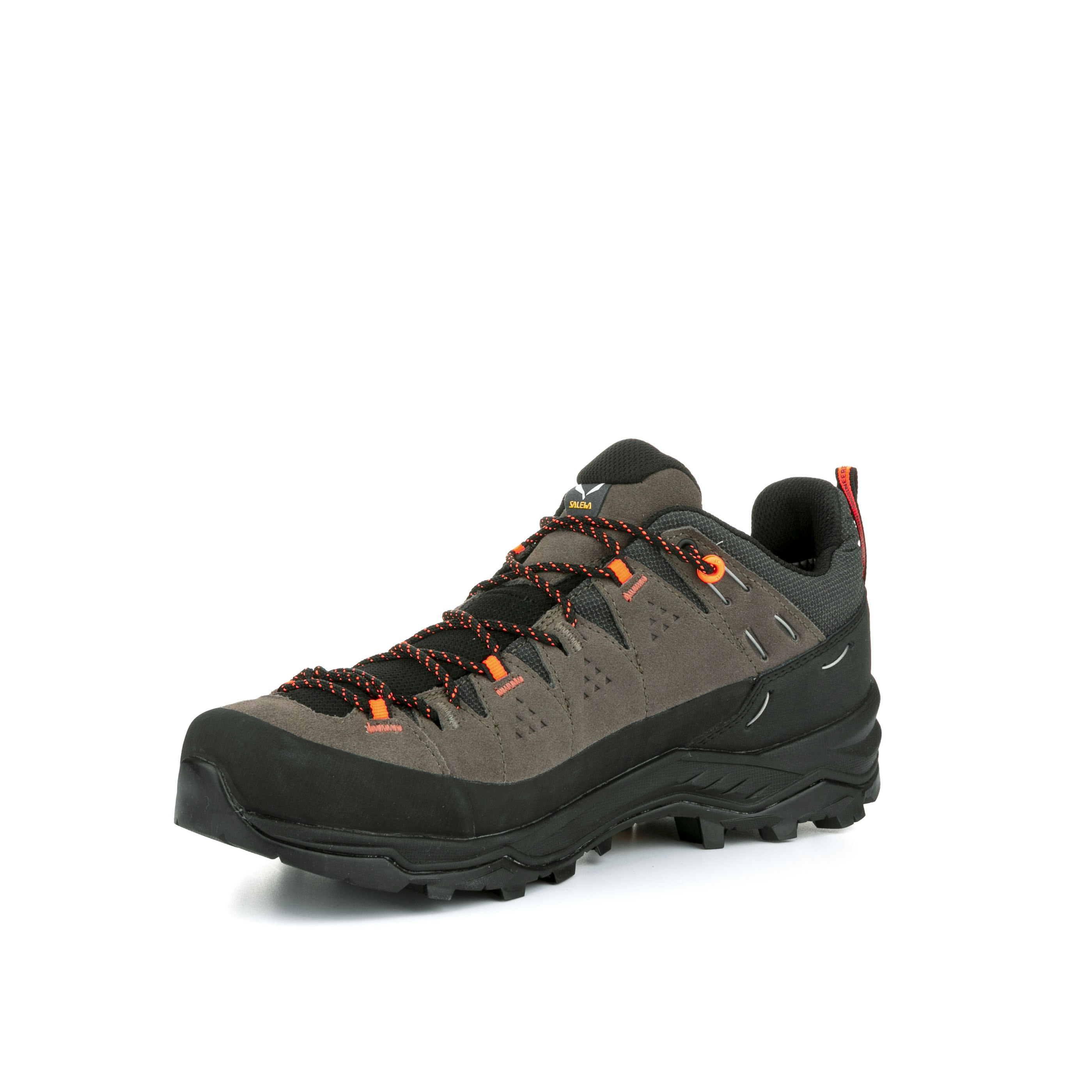 Alp Trainer 2 Gore-Tex® Schuh Herren
