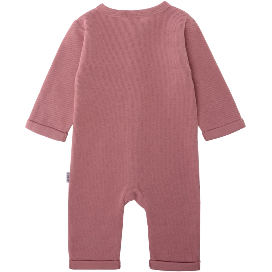 Liliput Overall rose