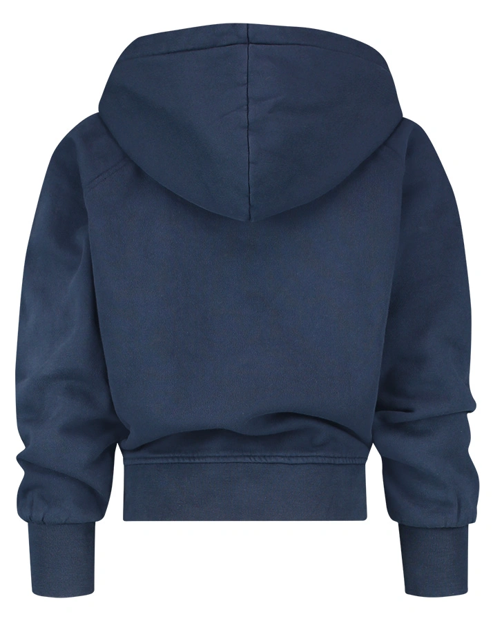 Kapuzen-Sweatshirt G-BASIC in dark blue