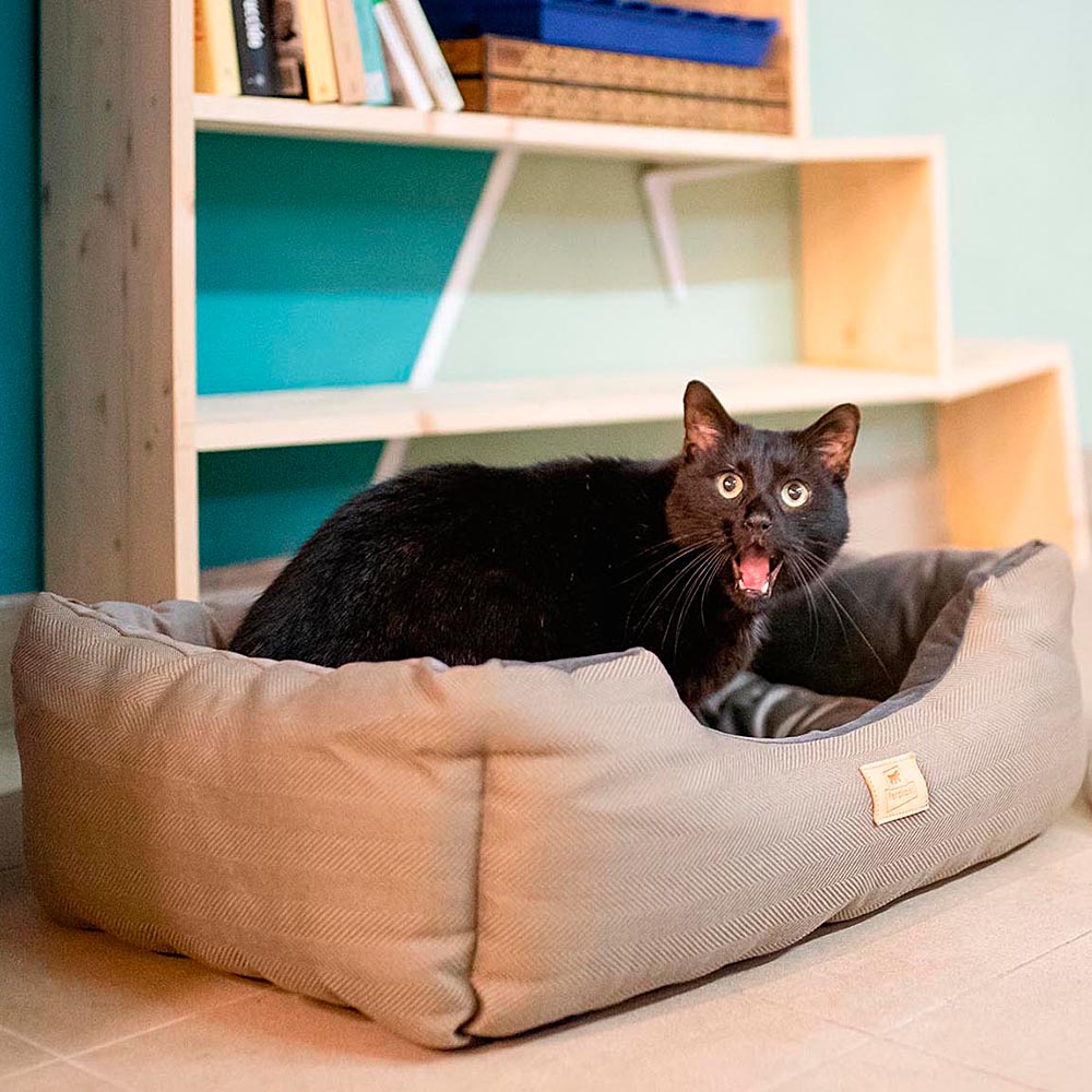 Lit chiens et chats couchage chester 60, avec coussin double-face, tweed et velours, lavable, bleu