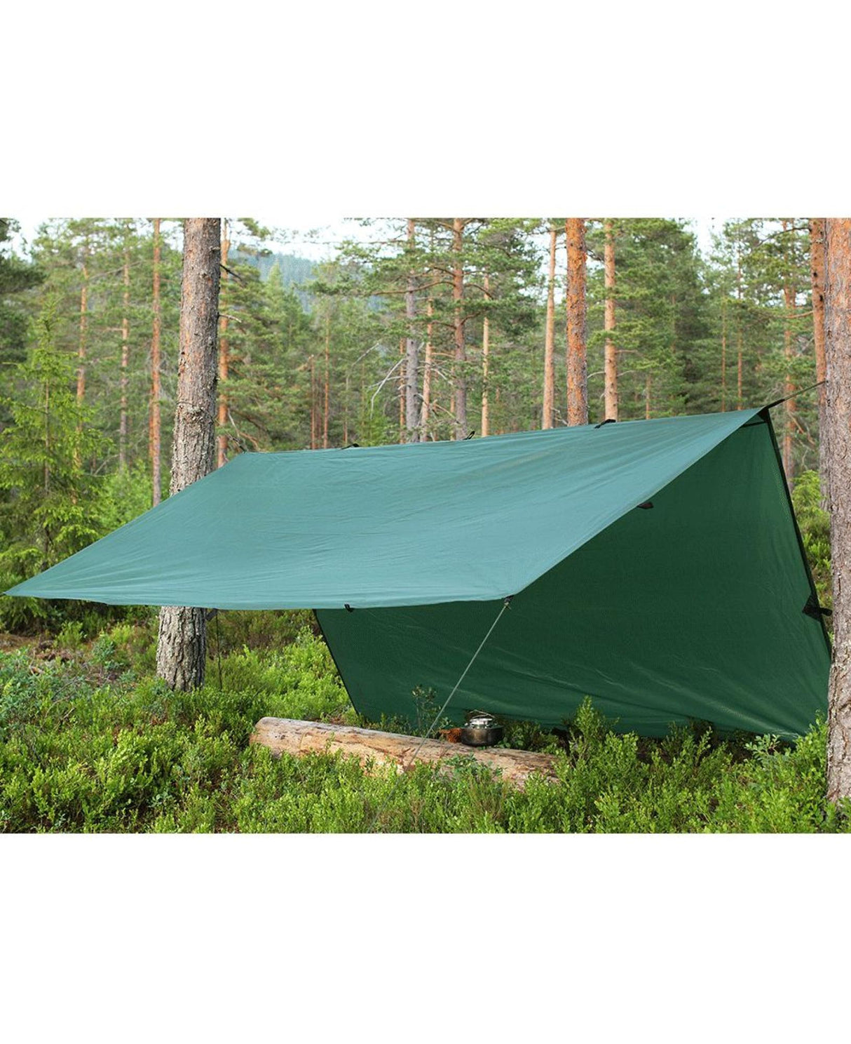 Eagle<br>Tarp / Gapahuk