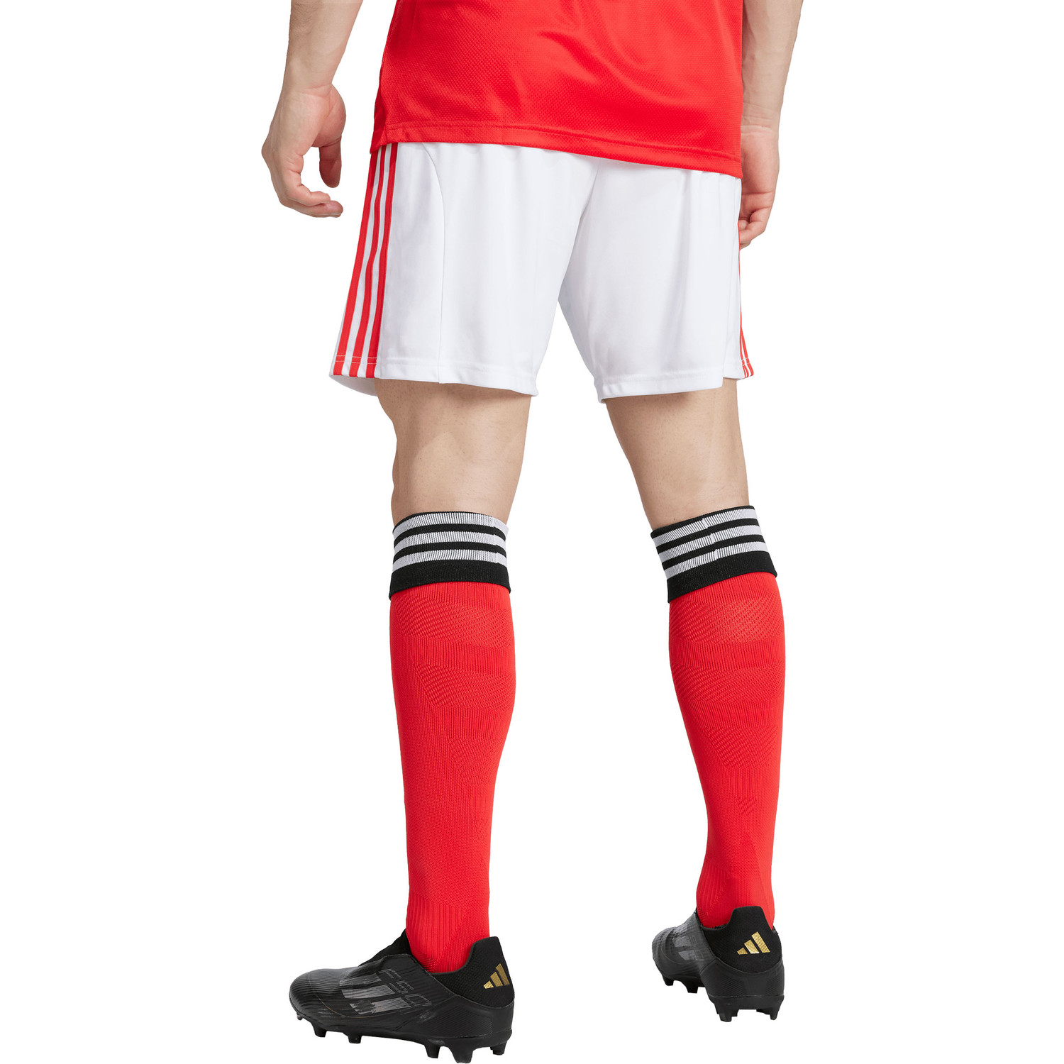 adidas SL Benfica Thuis Short 2025/2026