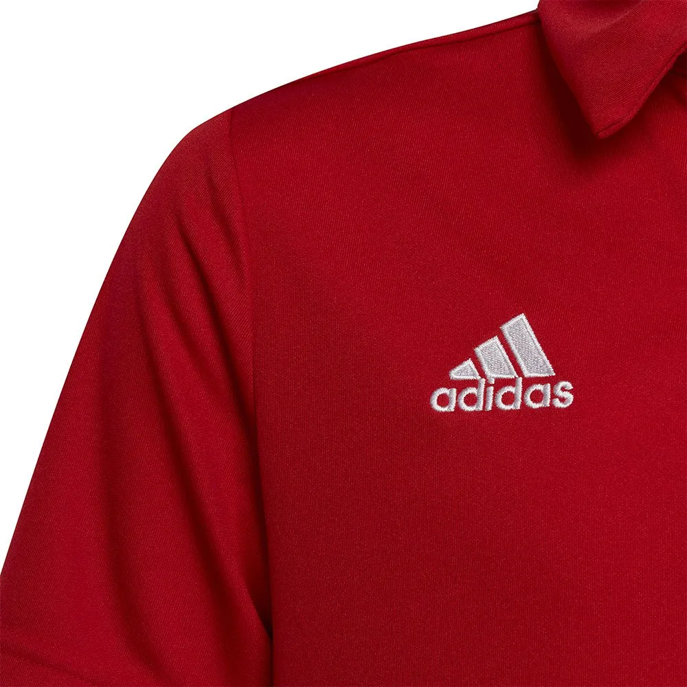 Camisa polo de manga curta adidas Entrada 22