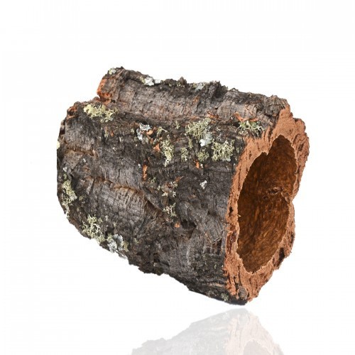 Toca de cortiça, com formato natural, para terrário.