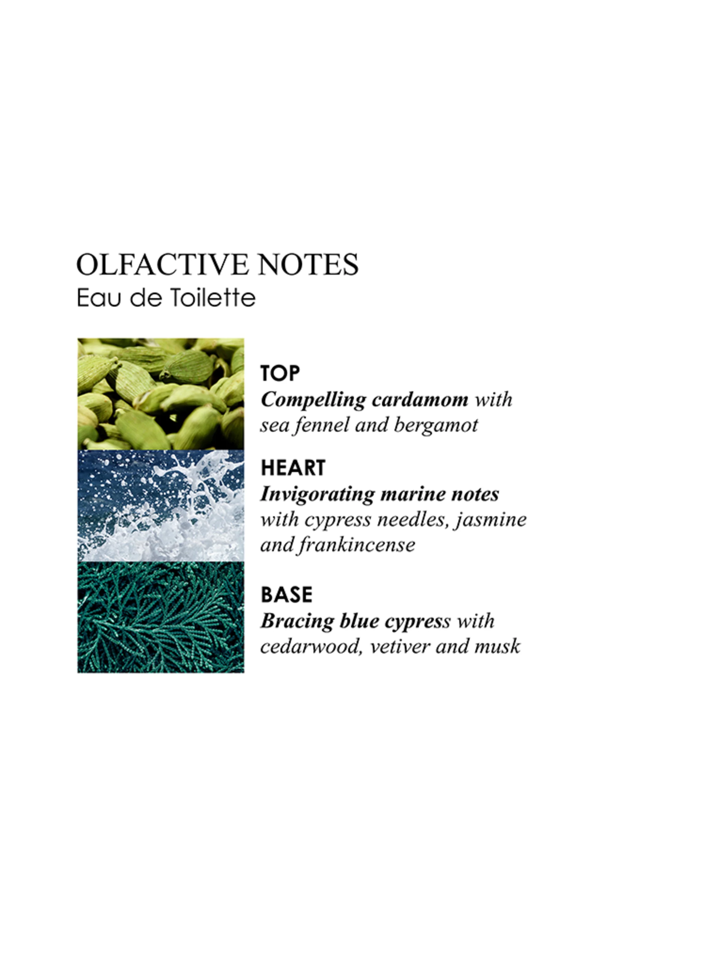 MOLTON BROWN COASTAL CYPRESS & SEA FENNEL HAND CARE COLLECTION