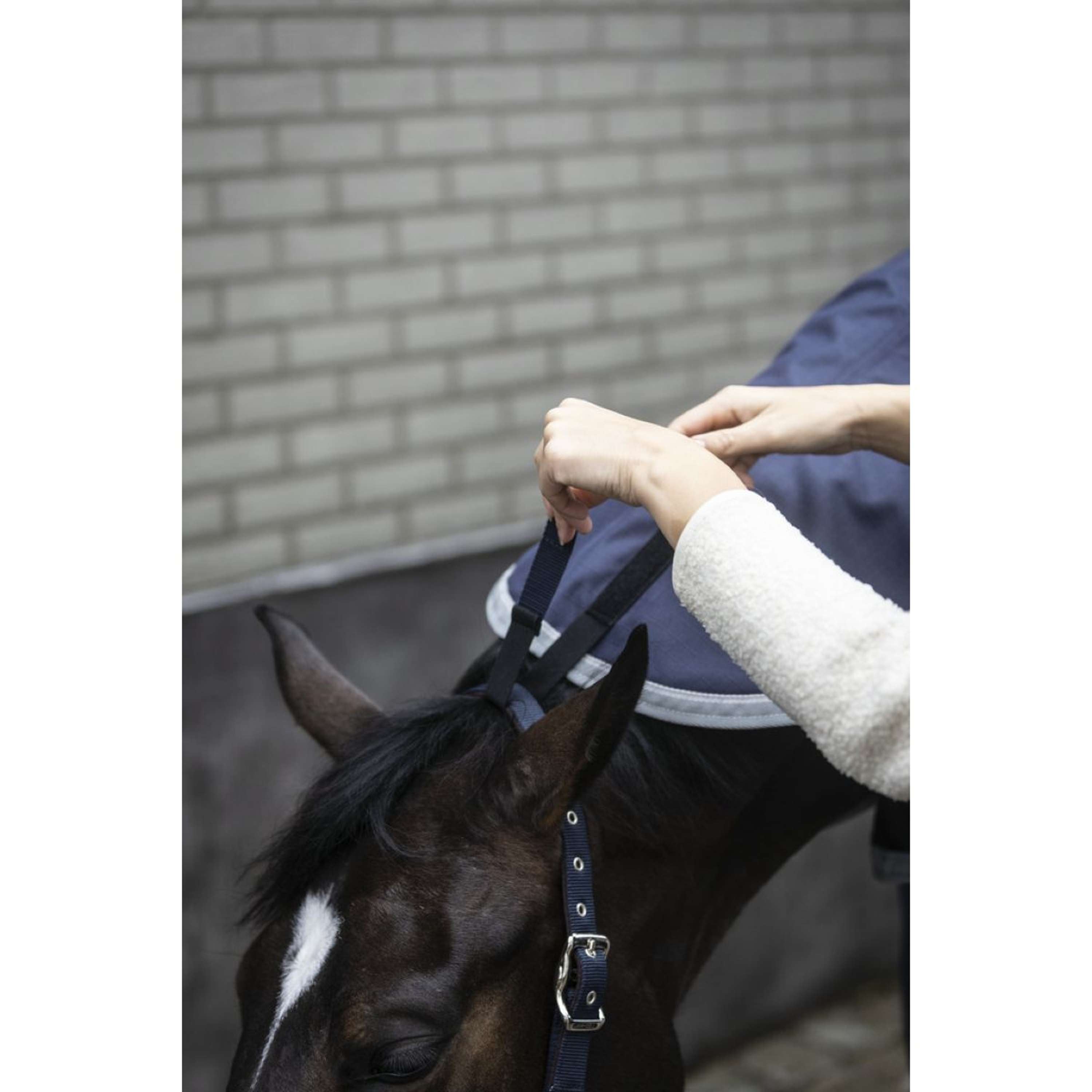 Lami-Cell Halsstuk Armadillo Navy