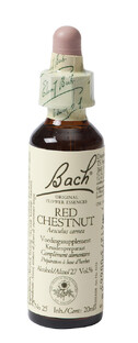 Bach Flower Remedies Rode Kastanje 25 20ML