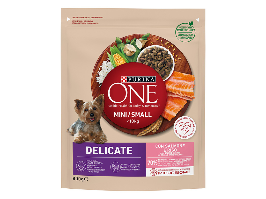 RAÇÃO PARA CÃO PURINA ONE MINI DELICATE COM SALMÃO 800G