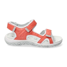 larisa  METBUCK 01/06 clay  RED