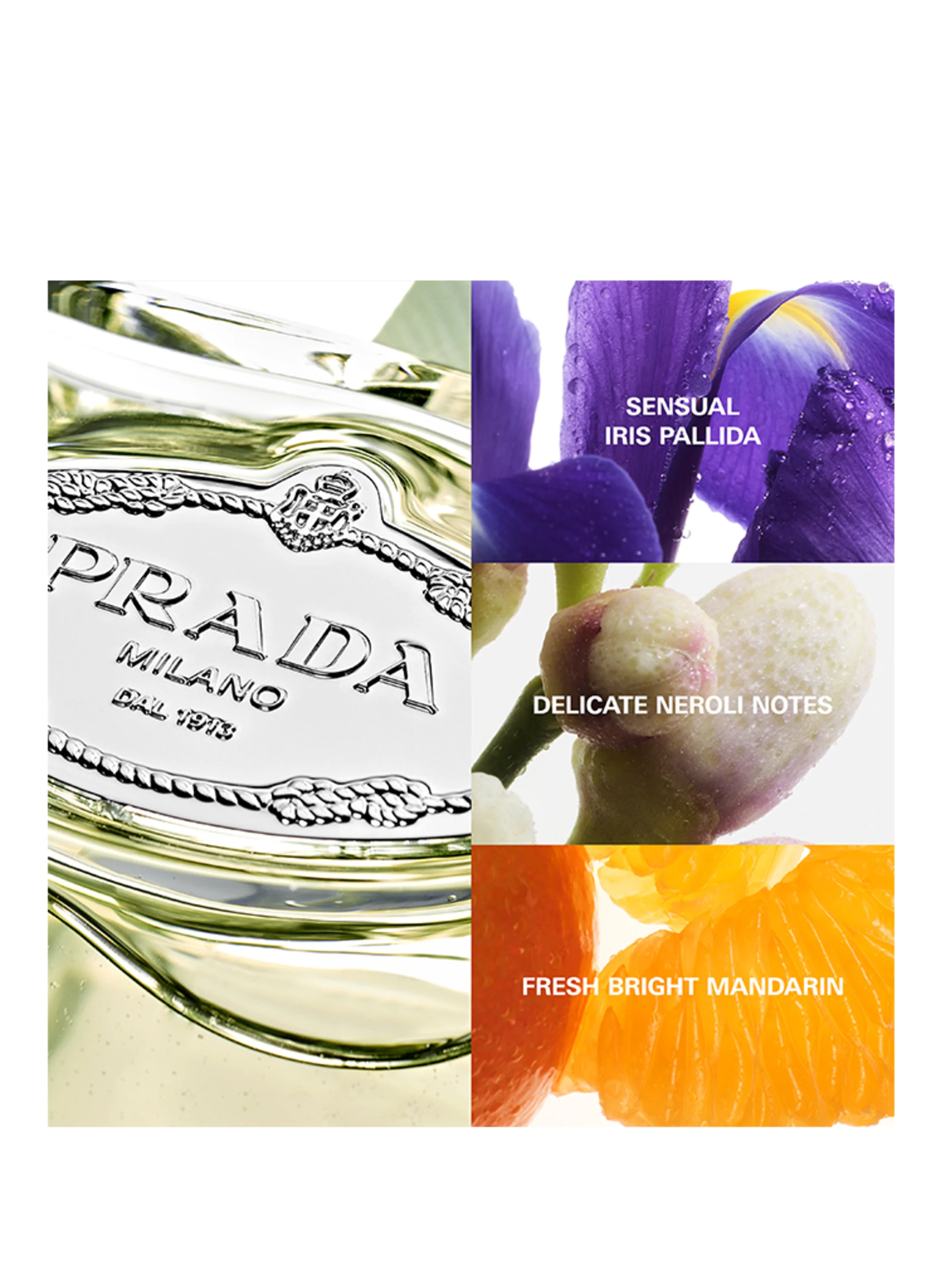 PRADA Parfums IRIS