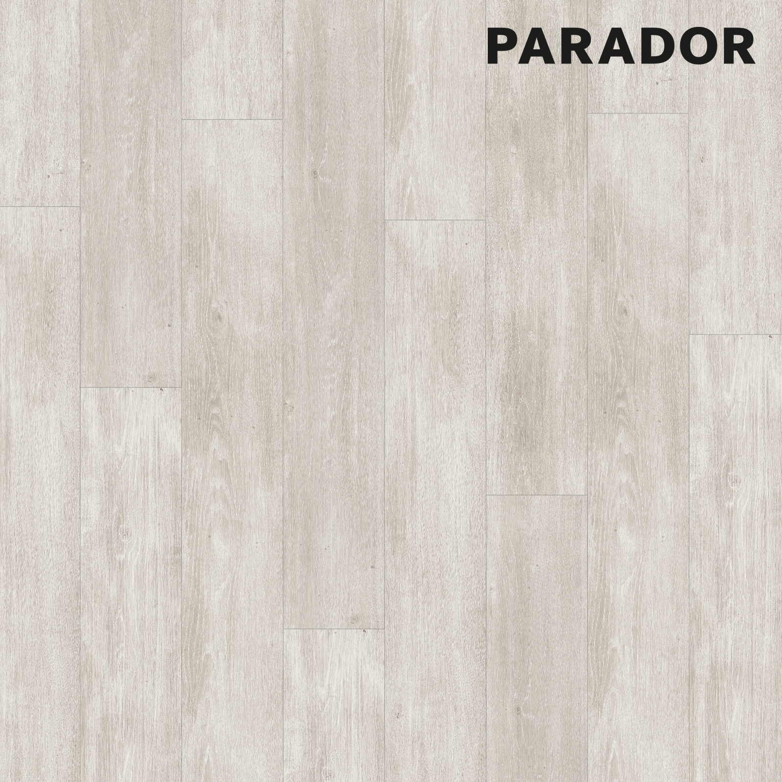 PARADOR Designboden MODULAR ONE - Eiche Nordic grau - 8 mm