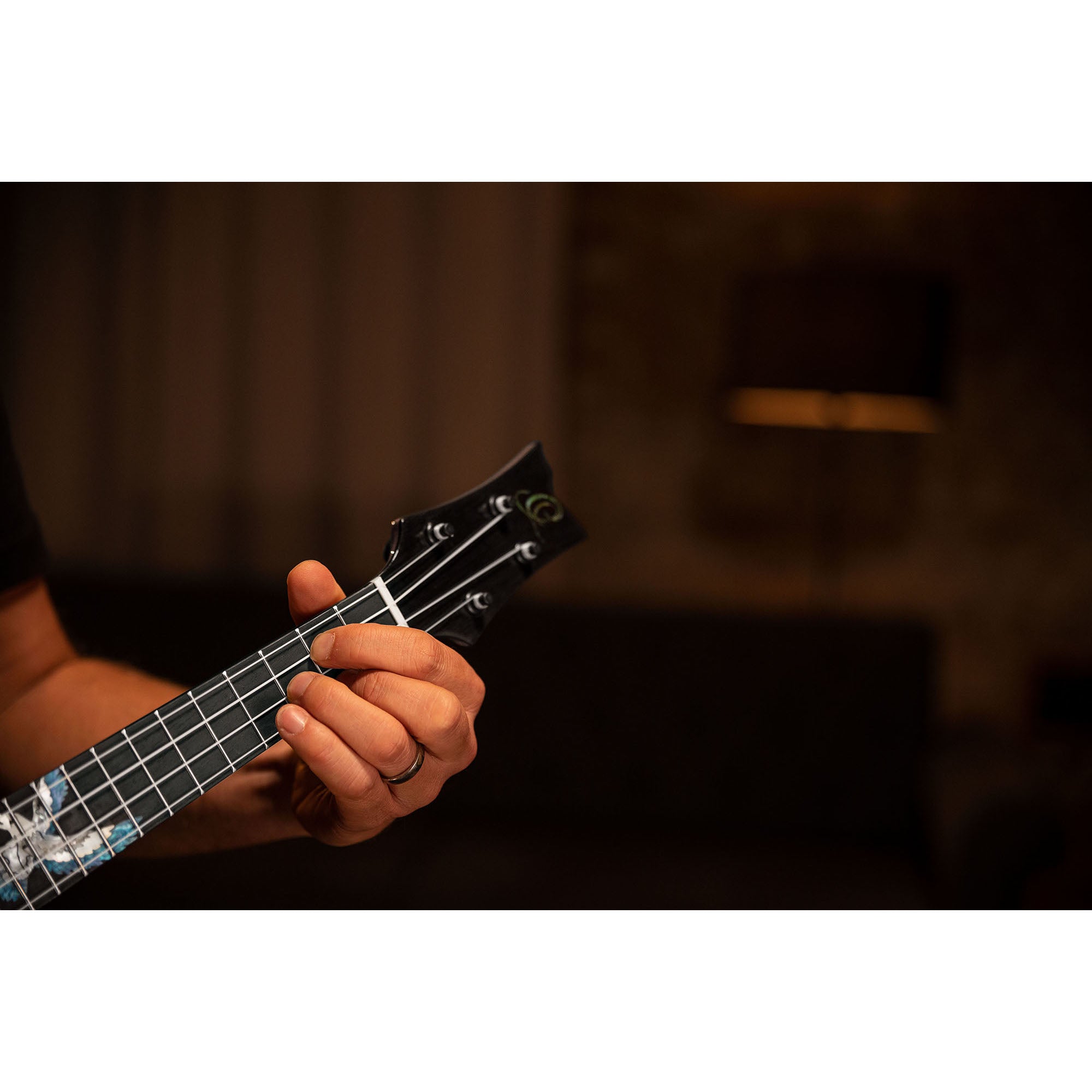 Ortega The Private Room EAGLESUITE-U Concert Ukulele E/A concert ukelele met gigbag