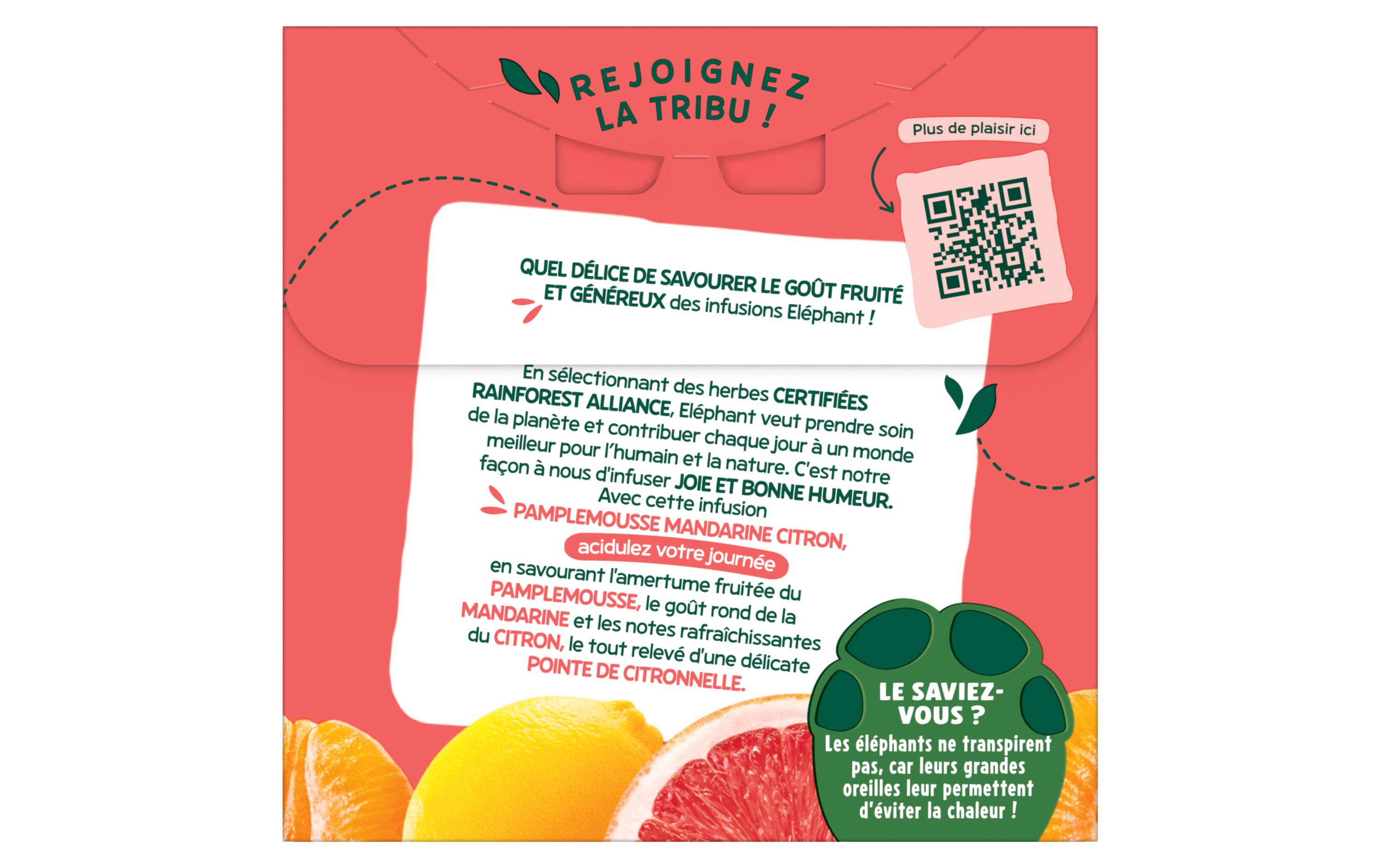 Teebeutel Infusion Pamplemousse Mandarine Citron 20 StückTee mit Pamplemousse Mandarine und Zitrone