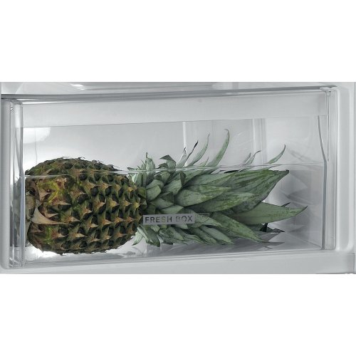 Whirlpool Inbouw koelkast 1-deurskoelkast 167L ARG 100712